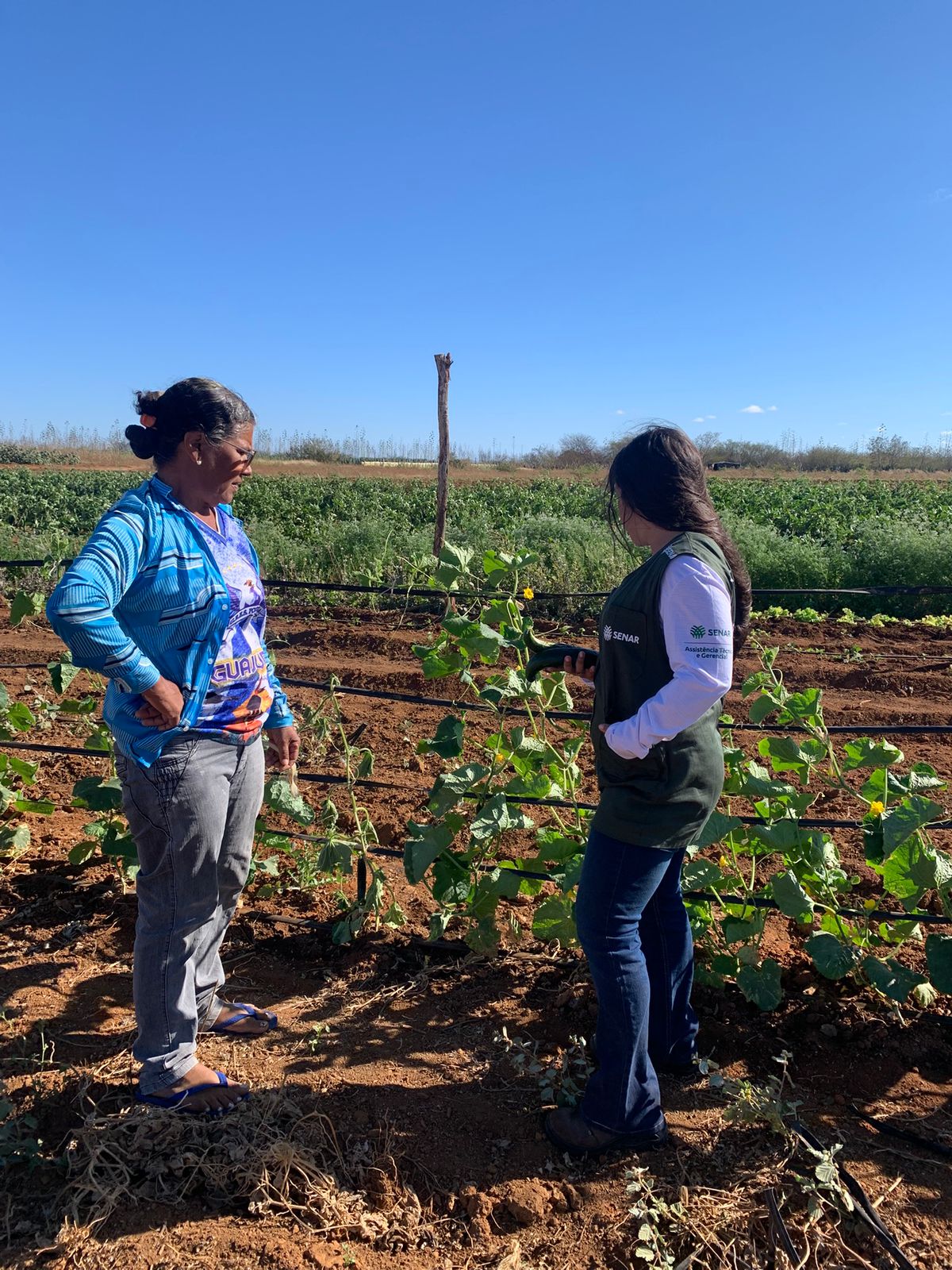 agricultura familiar